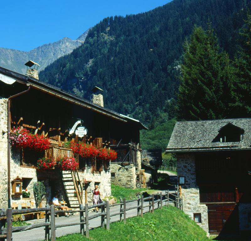 Chalet Alpenrose Bio Wellness Naturhotel โกโกโล ภายนอก รูปภาพ