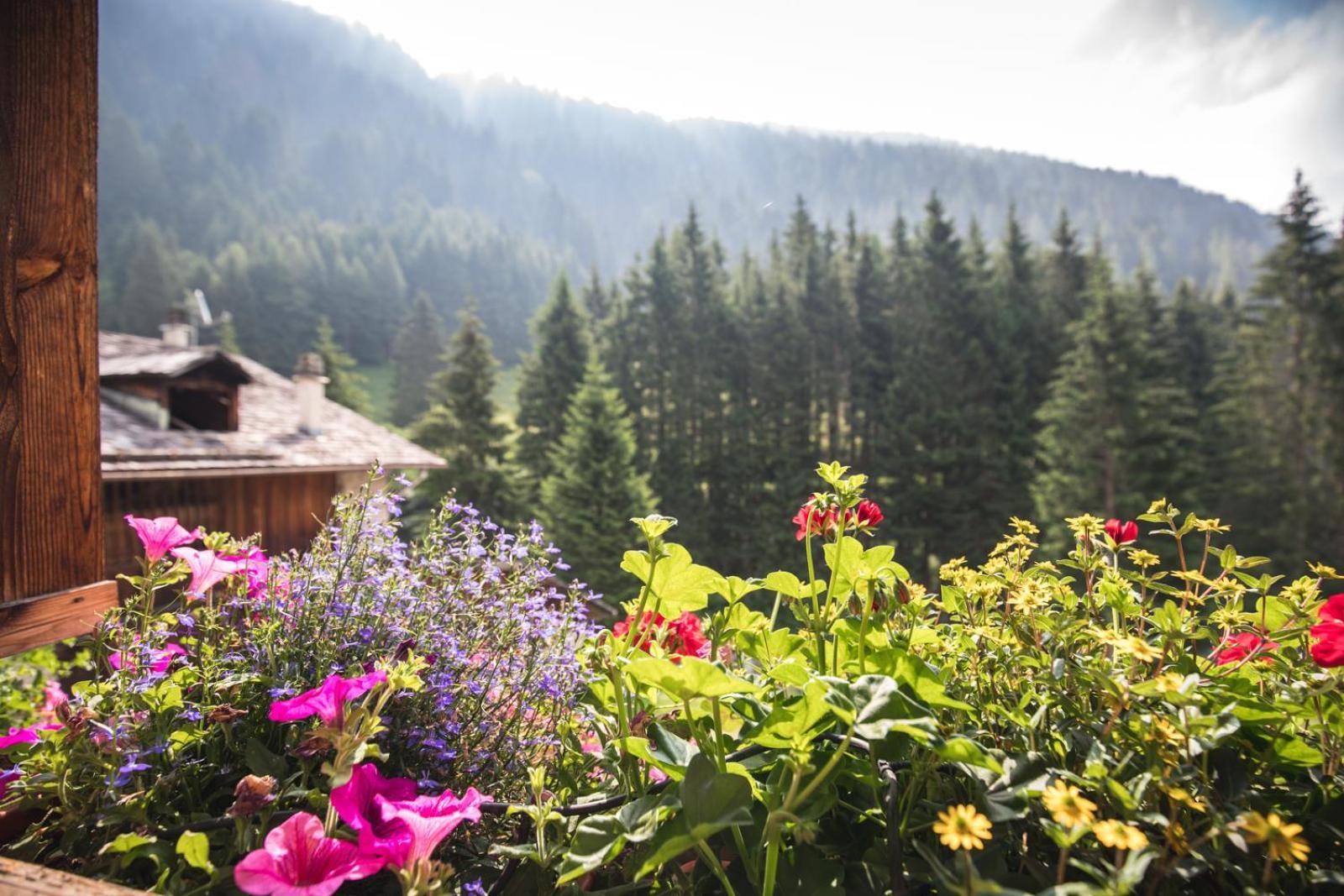 Chalet Alpenrose Bio Wellness Naturhotel โกโกโล ภายนอก รูปภาพ